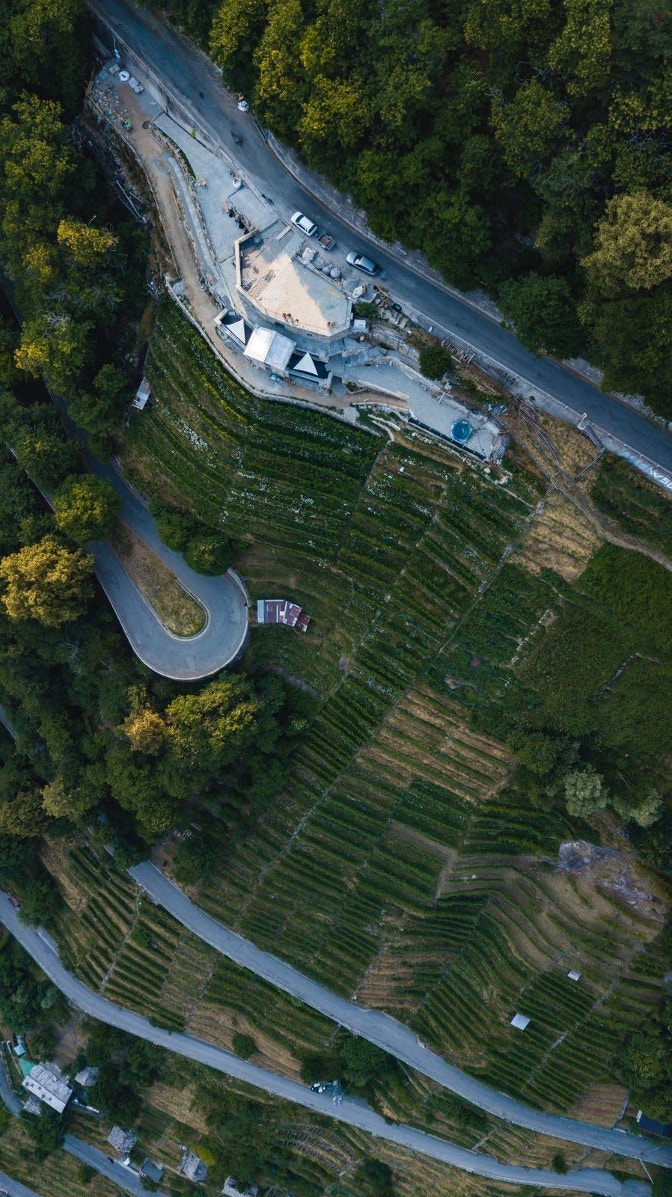 valchiavenna bio piwi