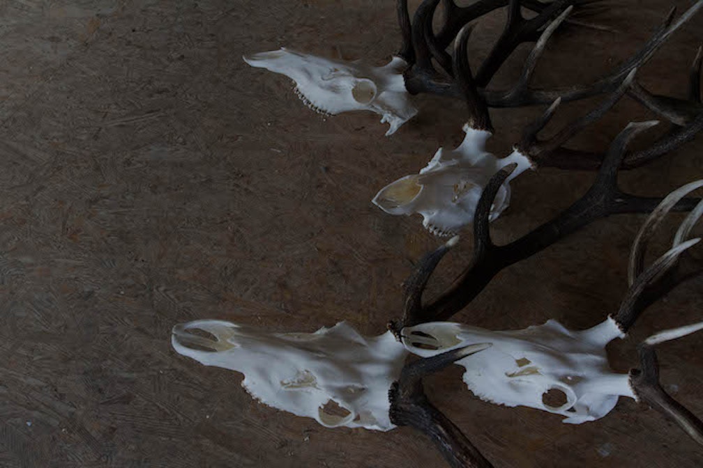 Il tassidermista #13