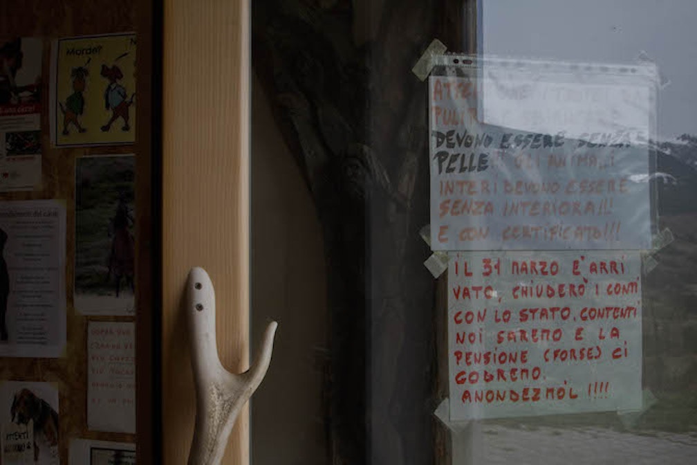 Il tassidermista #09