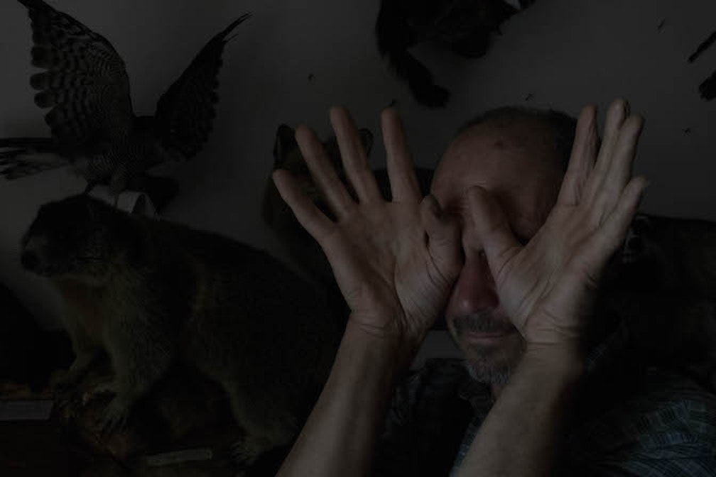 Il tassidermista #08