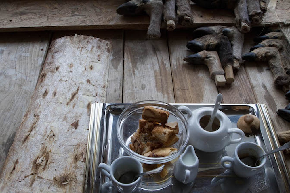 Il tassidermista #05