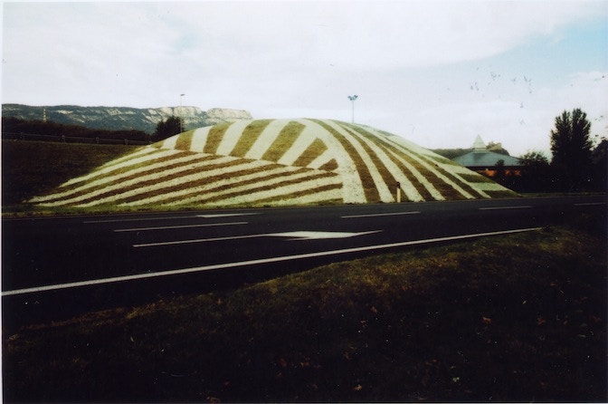 Tarnrasen_Bolt_dazzle