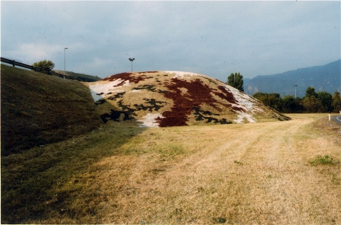 Tarnrasen_Bolt_Camouflage