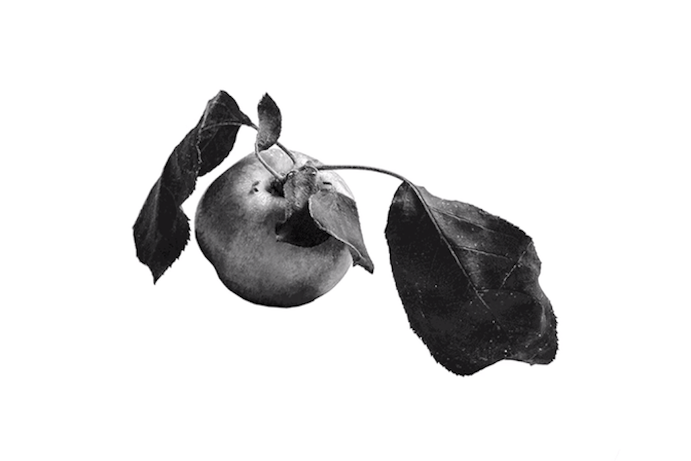 komplex_kulturmagazin