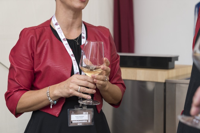 merano wine festival