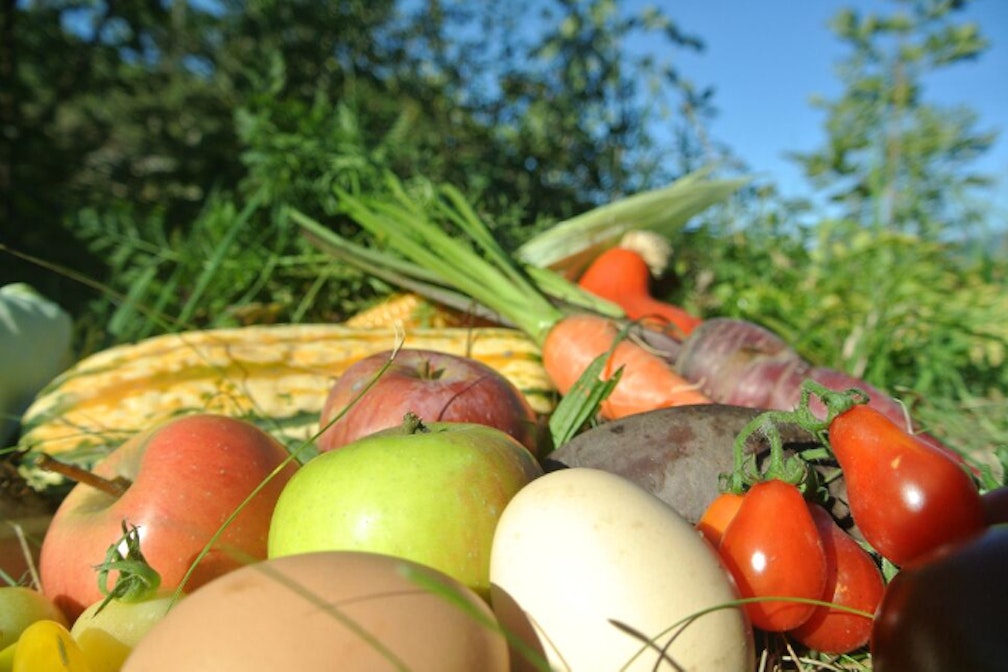 biodiversit-