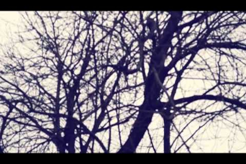 Mein Leben in Noten: Mr. Coon