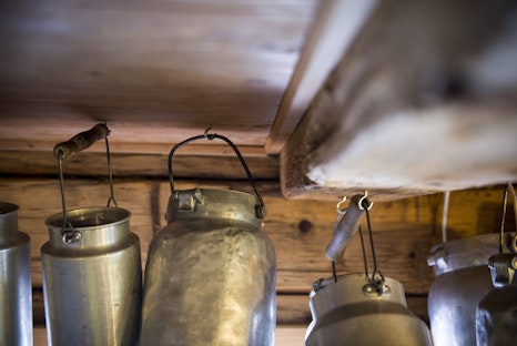 Verlag Athesia Tappeiner_by Alex Filz_Gompm Alm (20) Verlag Athesia Tappeiner_by Alex Filz_Gompm Alm (20)