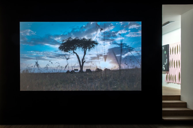 2. Luca Trevisani, Sudan. foto ivo corrà © 2018 bICF_5188