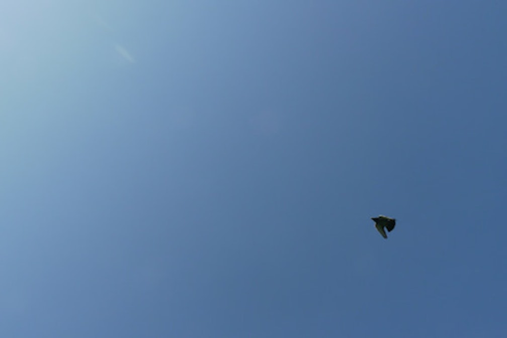 PoolPlay 05 171020_freitag_20