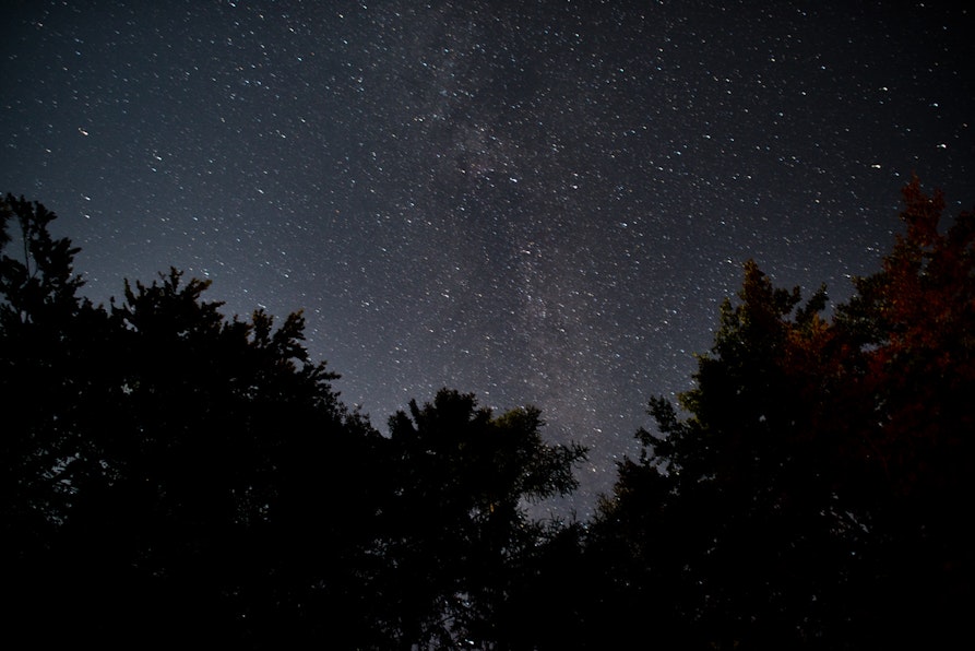 Foto Claudia Corrent