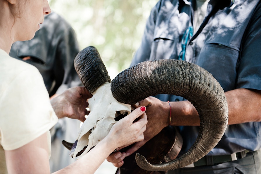 Foto Claudia Corrent