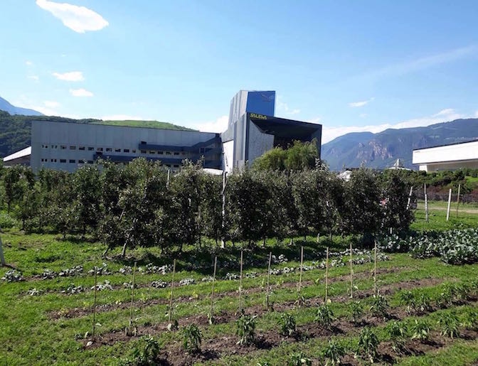 Salewa Garten