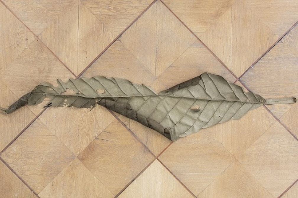 Experimentier-Raum “Galerie der Stadt Schwaz”: Min Yoon eröffnet Ausstellungssaison