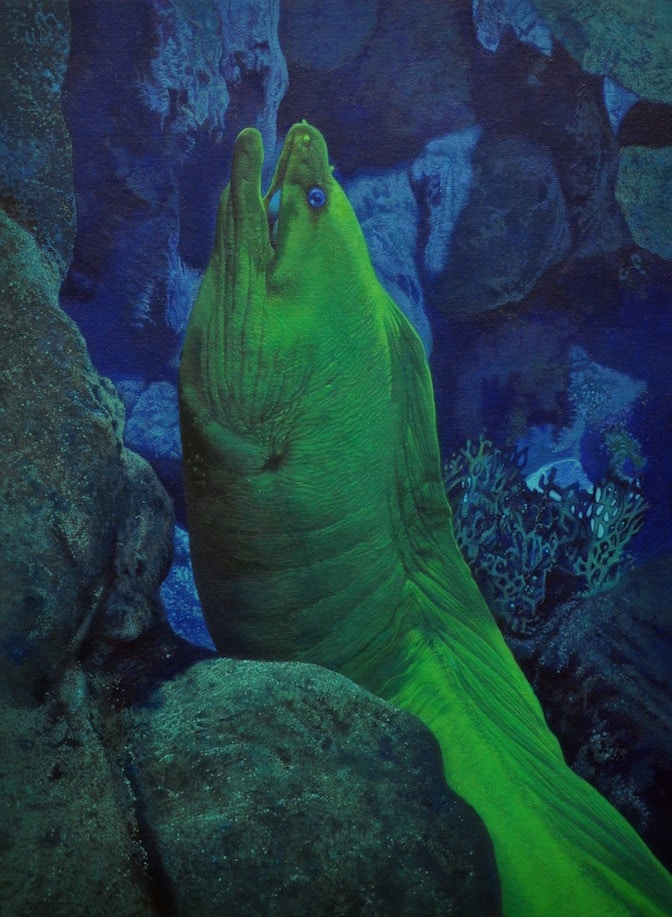 Gabriele_Grones_Moray_eel_oil_on_canvas_cm30x22_2016