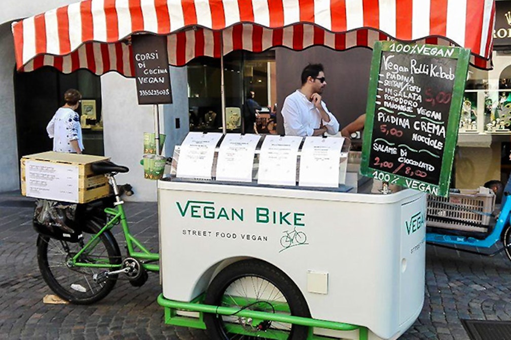 Vegan_Bike-franzmagazine-Irina_Angerer_01