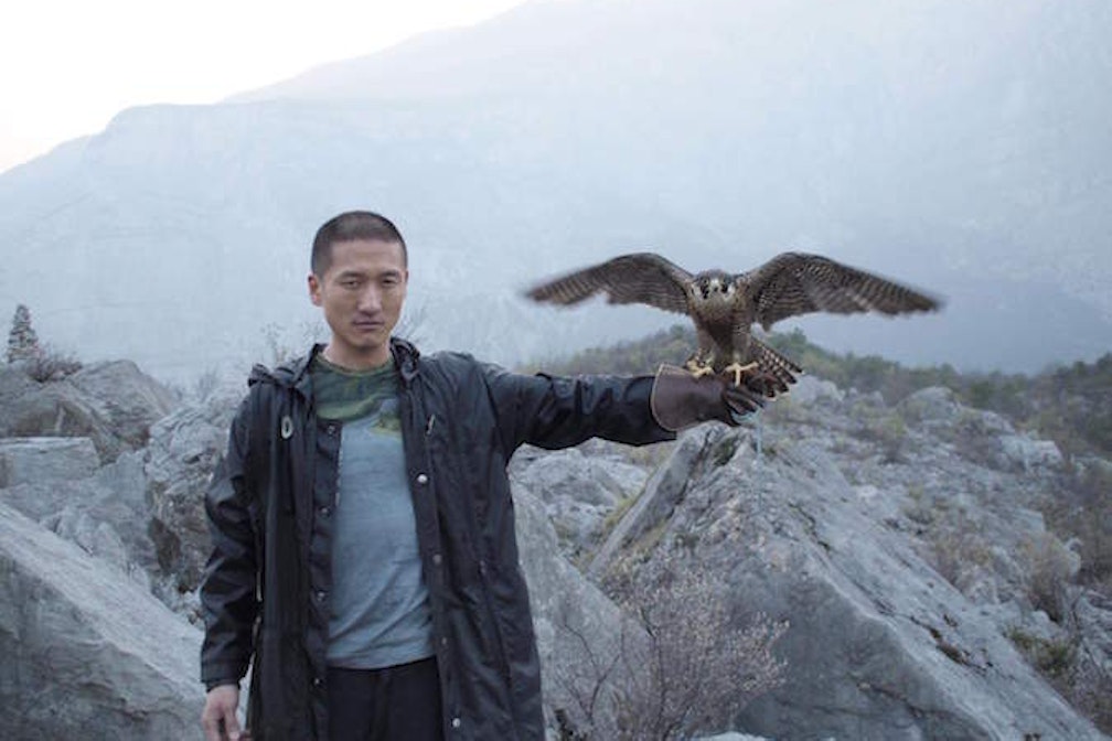 Art, Datas and Activism: un laboratorio di ricerca a World Breakers