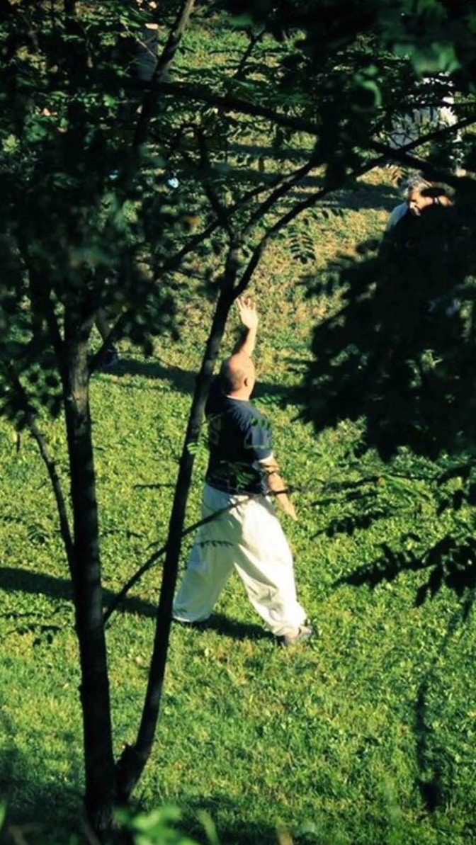 tai chi chuan