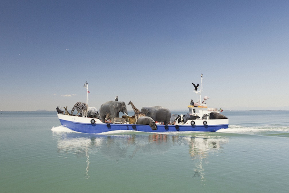 Displaced Positions Postkarte Nicolo Degiorgis