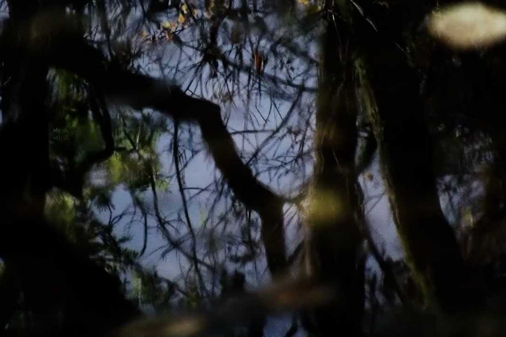 Besser als Migräne. “Kopfweh. Kein Wunder #04” @ pmk