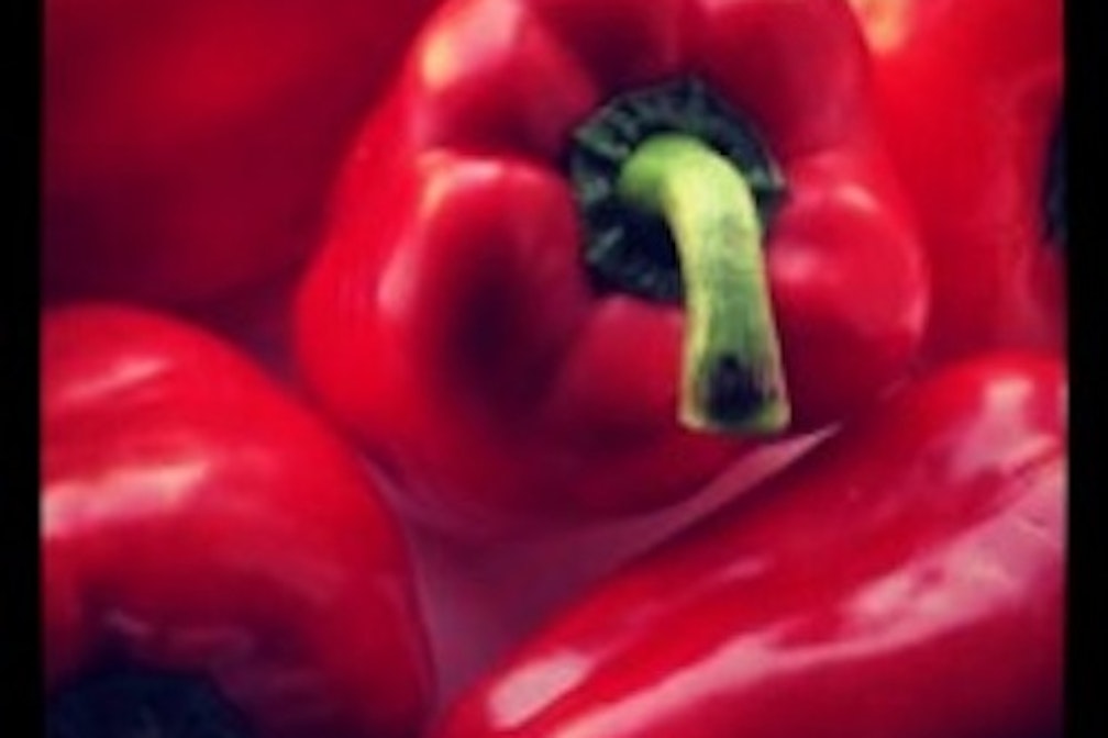 cooking with condito