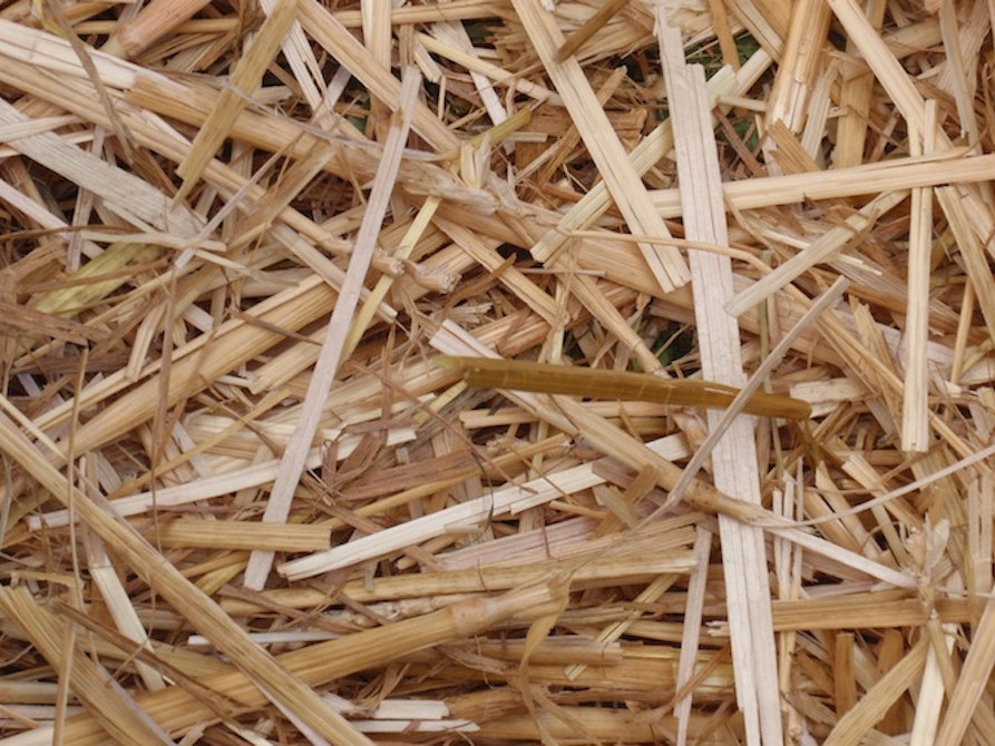 Kineme Strohstadt 2014 Friesach