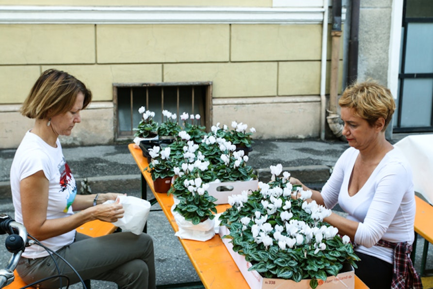 Rosengarten Festa 2014 - photo by David Klotz
