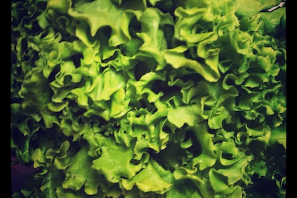 cooking with condito