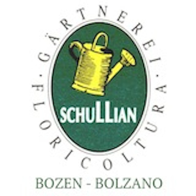 schullian-centrale-fies