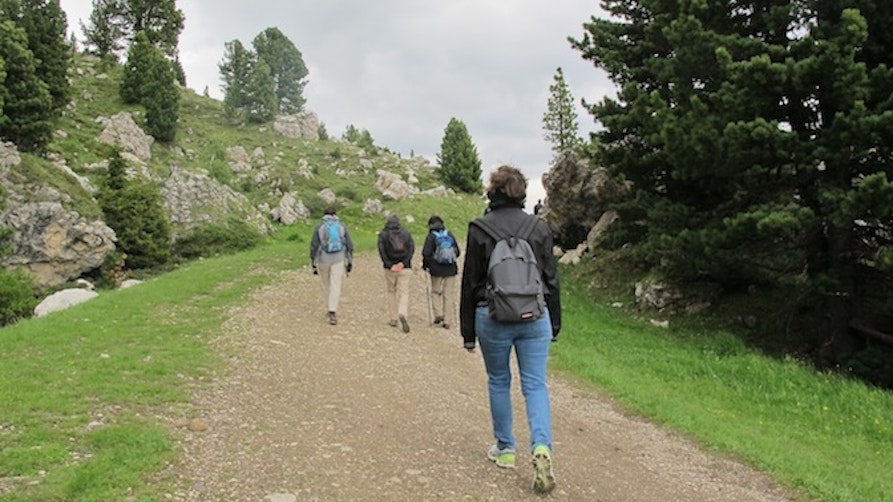 Sasslonch Suite - Südtirol Jazzfestival Alto Adige 2014 - franzmagazine