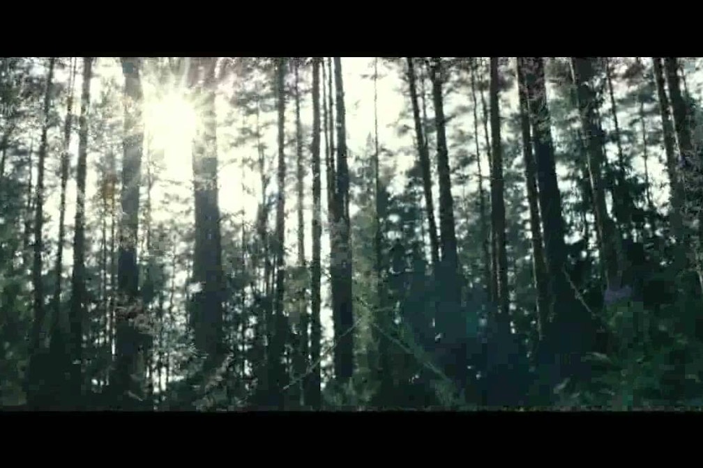 HomeGrown Reviews: Wolfskinder