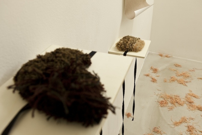 barbara gamper - everybody touch!