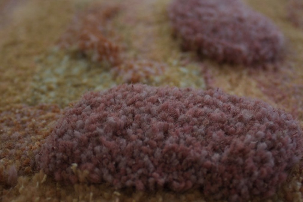 barbara gamper - everybody touch!