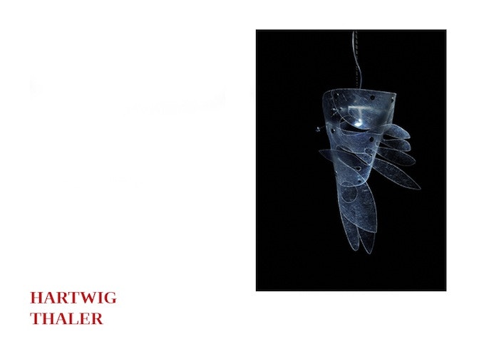 hartwig thaler