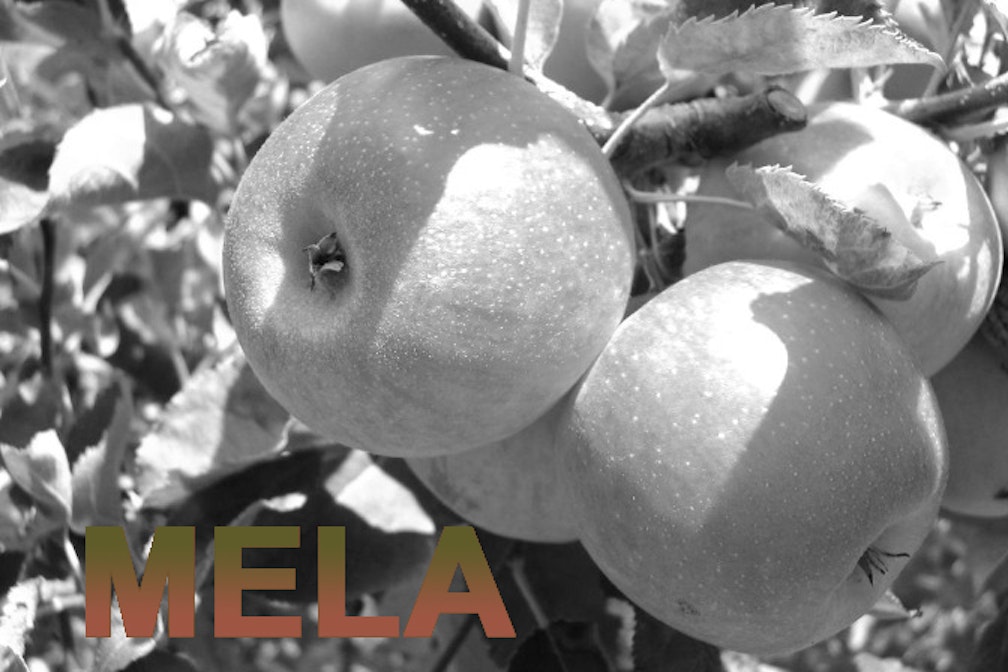 Tipical Tipps #06. Che fare con le mele?