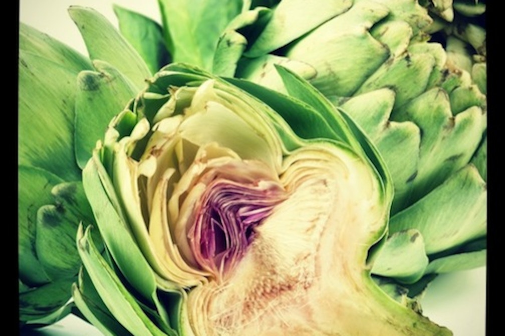 artischocke - cooking with condito