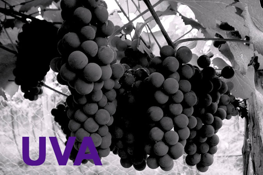 uva
