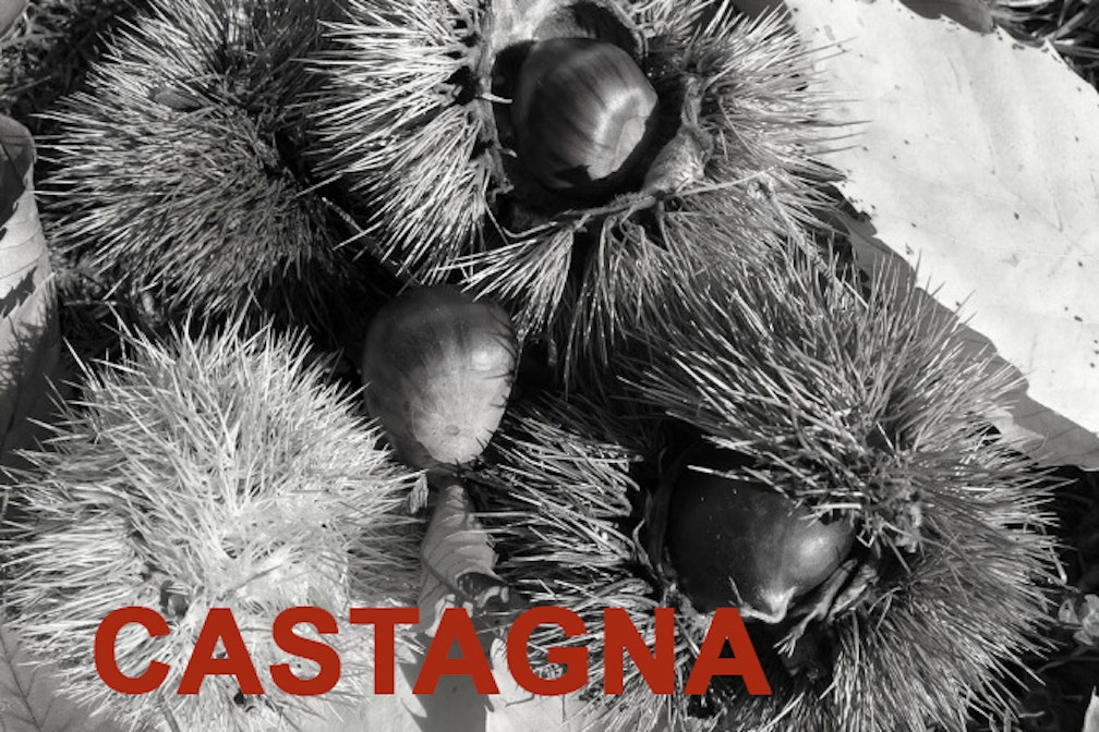castagna