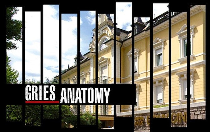 Gries Anatomy