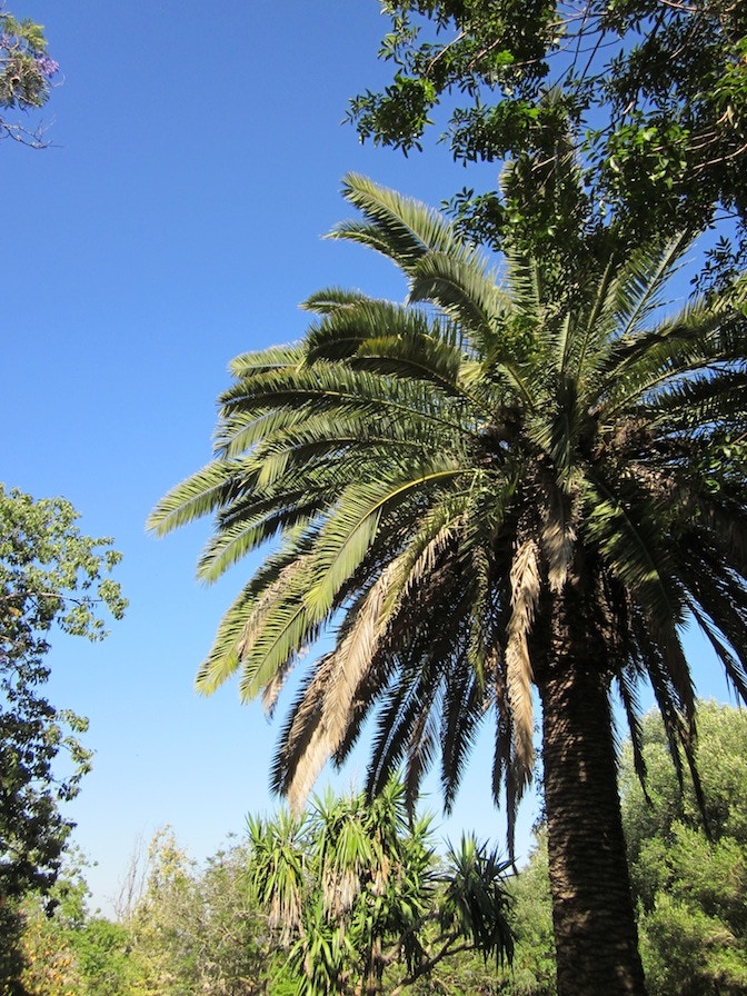 hallo ciao maroc PALME