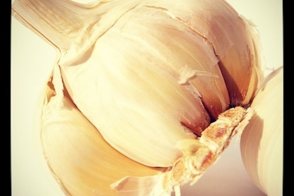 cooking with condito - knoblauch