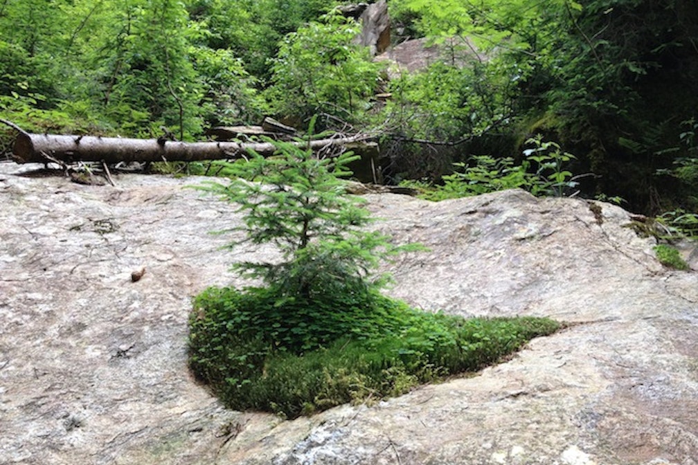 nachhaltigkeit – franzmagazine - elisa barison