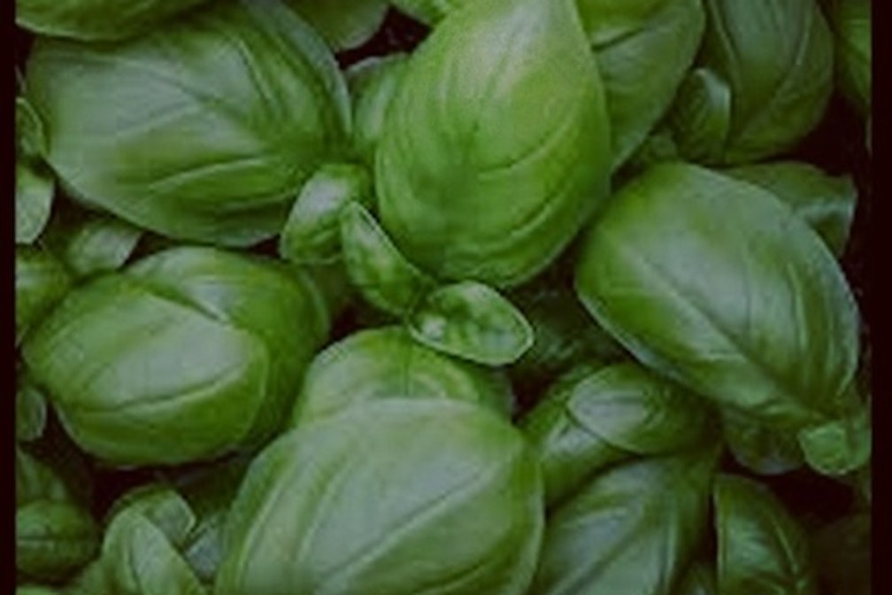 cooking with condito