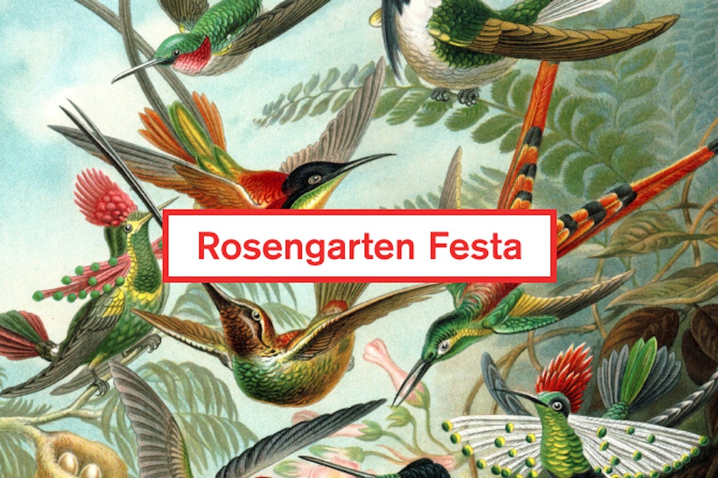 – 50 to Rosengarten Festa. Qualche anticipazione e una domanda: cosa significa per te #creatività?