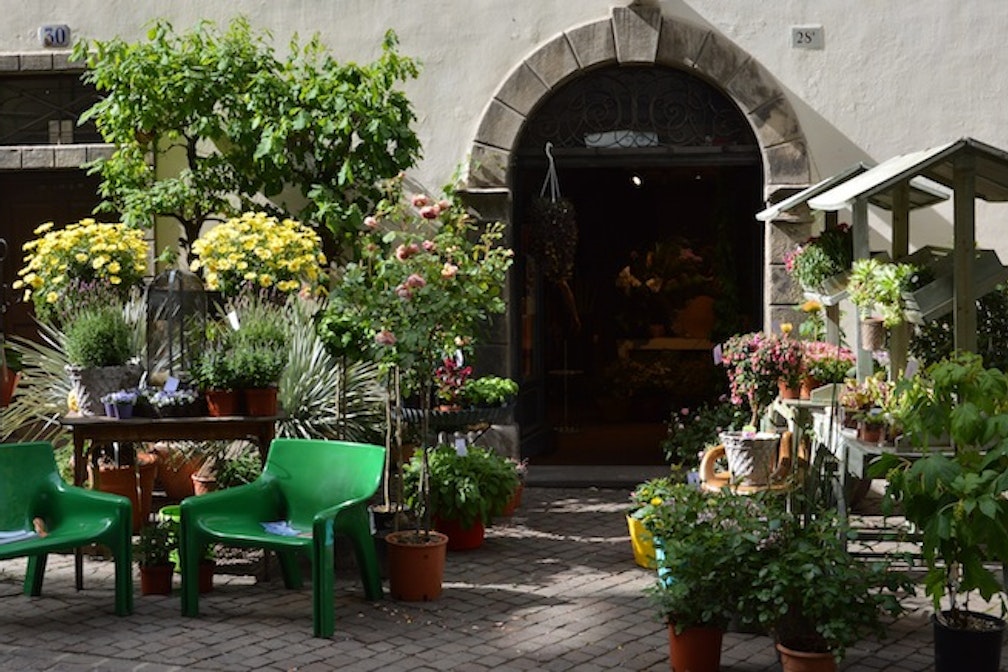 mario woche - blumenladen - foto maarian cuccato