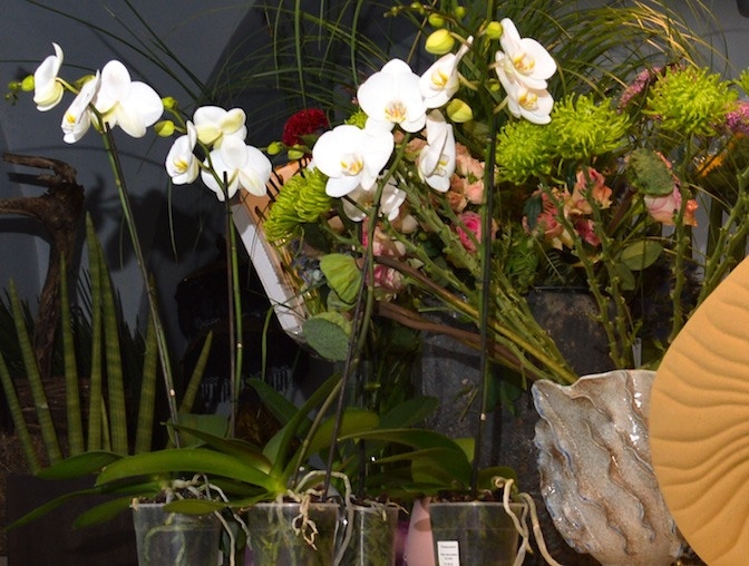 mario woche - blumenladen - foto maarian cuccato