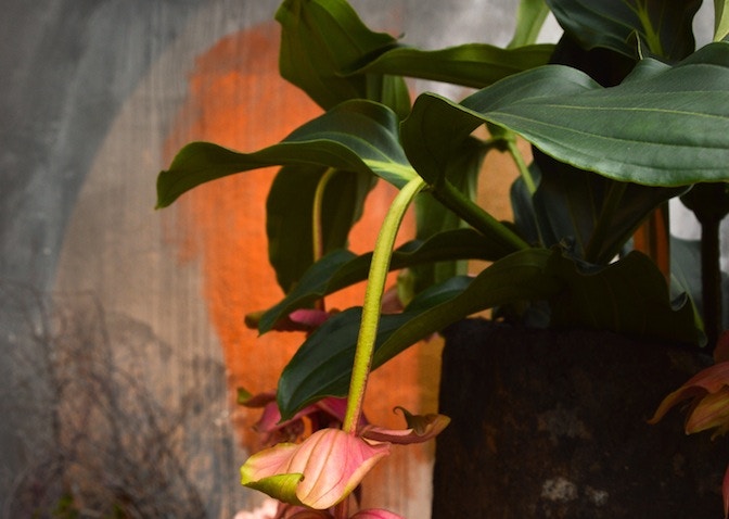 mario woche - blumenladen - foto maarian cuccato