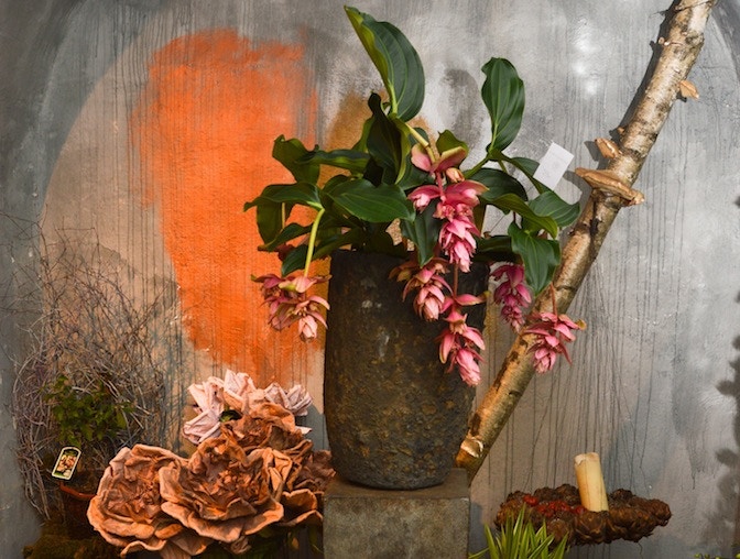 mario woche - blumenladen - foto maarian cuccato