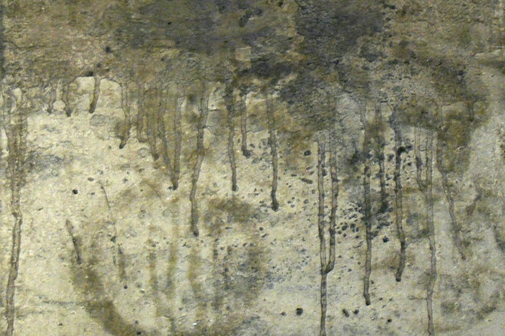 Metamorph (Artexchange-Exemplar), 40x40x7cm, Asche in Eitempera, Kreide und Pigment, 2012