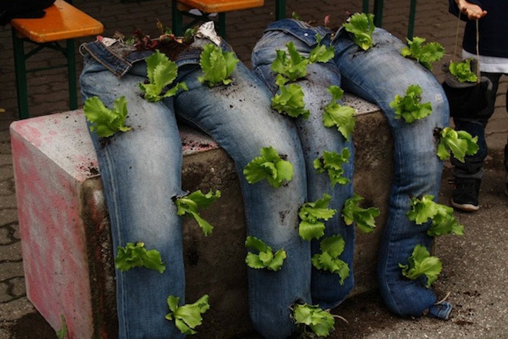 Il Collettivo Contorti porta l’orto in piazza: semi di resistenze